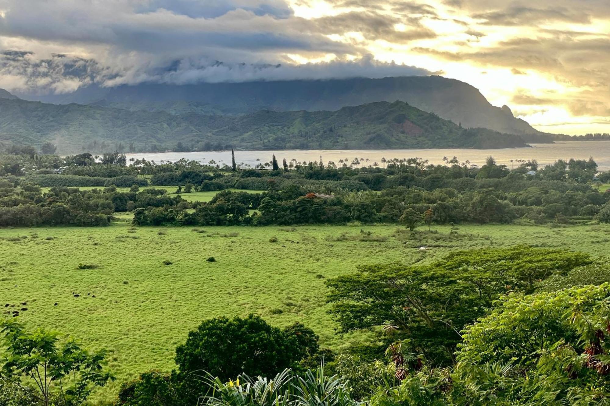 View House Tower! Villa Princeville Luaran gambar